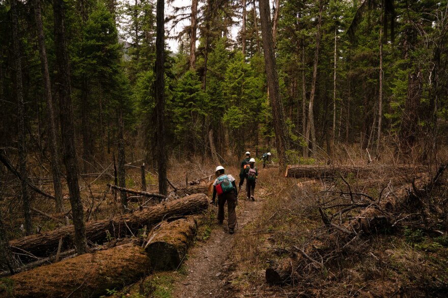 Members of the MCC work on the trails near Tally Lake.