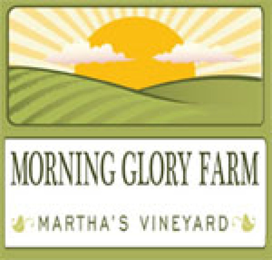 morning_glory_150 (1).jpg