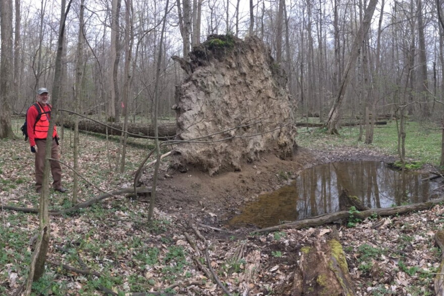 Professors conduct research in Ginn Woods in 2017.