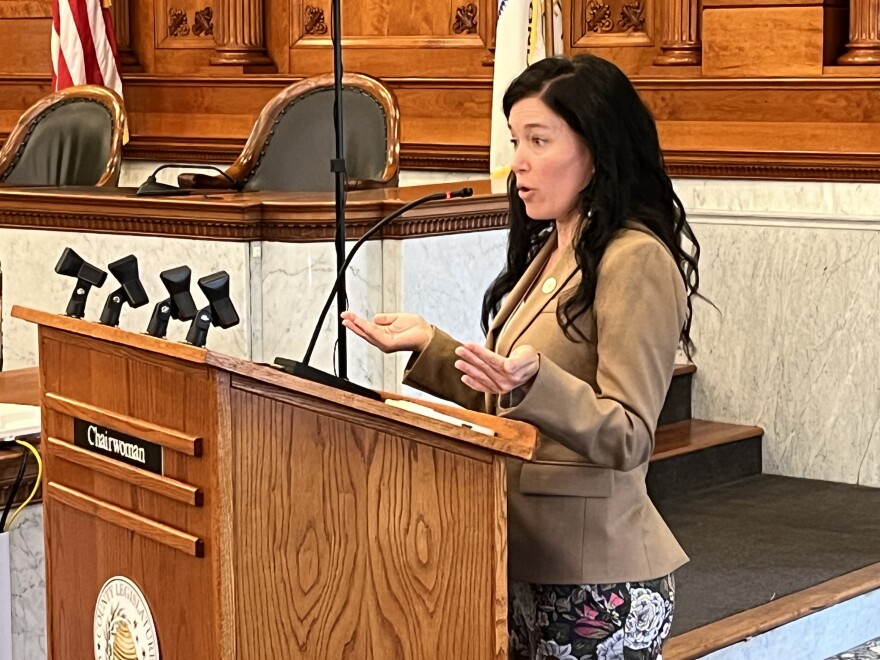 Legislature chairwoman Nicole Watts explains the local law to the ways and means committee.