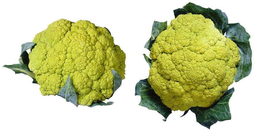 Broccoflower was originally grown in Holland and hit the U.S. market in 1989. It's remained a relatively specialty item since then, but culinary experts say it may soon become more widely available.