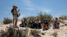 1-lizard-camp-for-web