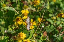 butterfly-learning-center-3.jpg