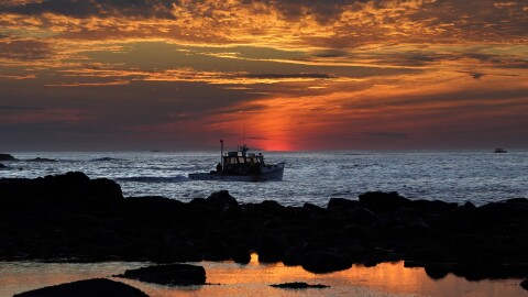A lobster fishing boat heads out to sea at dawn, Thursday, Sept. 8, 2022, off of Kennebunkport, Maine.