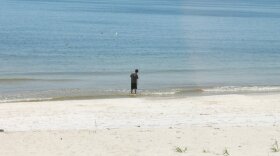 Bama McGee watching the seagulls on Dauphin Island, August 2011