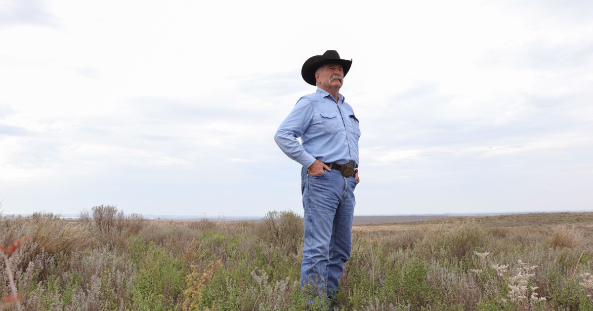 A native prairie bird lost federal protection. People are still trying to save it on private land
