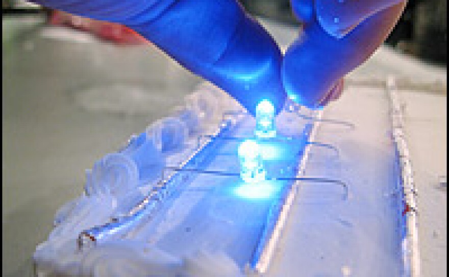 Putting LEDs on a cake.