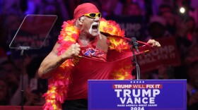 Hulk Hogan in yellow sunglasses, red bandana and red and yellow boa, ripping off his red T-shirt in front of a Trump Vance podium
