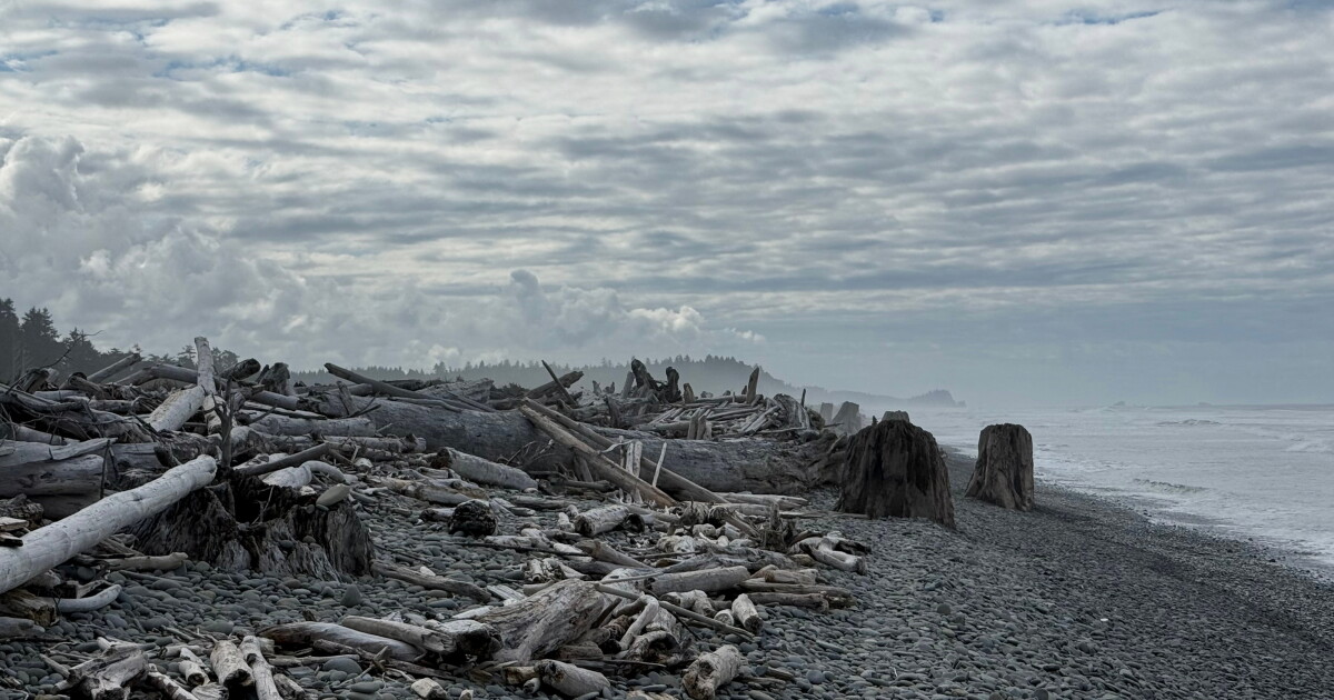 Record-breaking El Niño comes with extra intensity along the coast