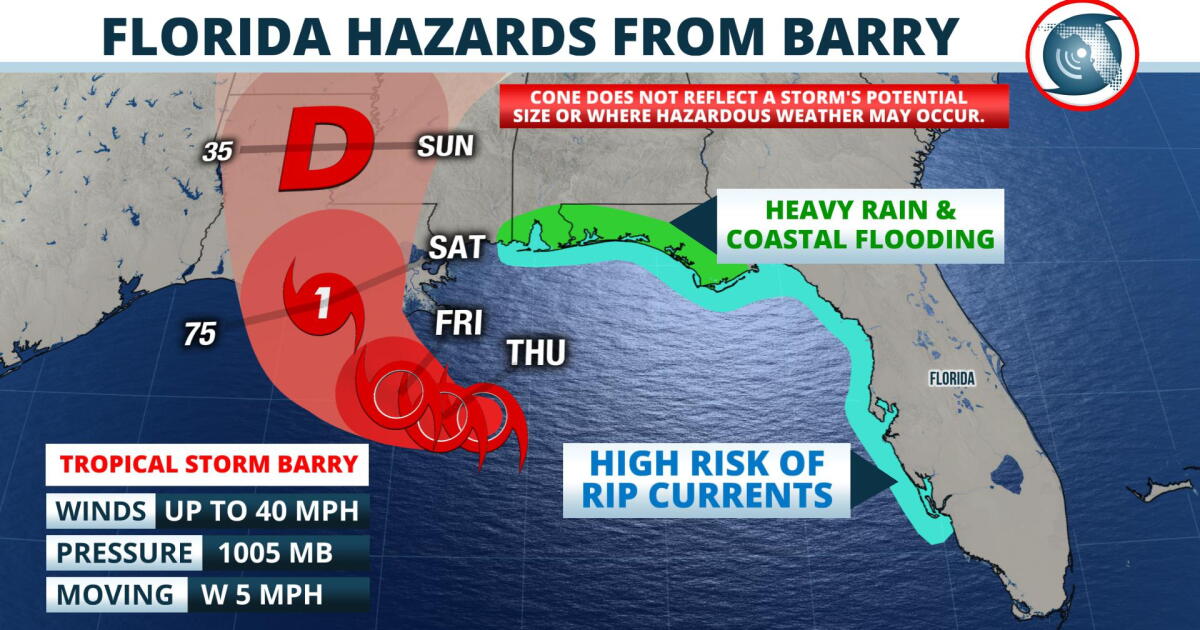 Tropical Storm Barry Forms in the Gulf of Mexico | WJCT News 89.9