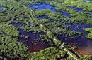 In this Thursday, Oct. 24, 2019, photo, the Marsh Trail bisects a section of the Ten Thousand Islands National Wildlife Refuge in the western Everglades near Naples, Fla. Clusters of mangroves form islands in a shallow estuary. A healthy mangrove forest is important for protecting coasts during storms. (Robert F. Bukaty/AP)