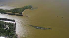 Previous tide bloom in the Indian River Lagoon region. Photo by St. Johns River Water Management staff. 