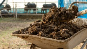 Iowa factory farms dump approximately 109 billion pounds of manure each year, much of which winds up in nearby groundwater, according to Food and Water Watch.