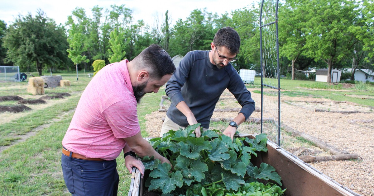 Kansas food groups turn to community gardens for produce as federal aid falls and prices rise