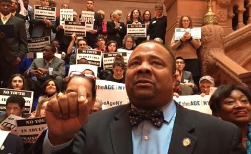 Senator Jessie Hamilton, an Independent Democrat, addressing a "Raise the Age" rally at the state capitol