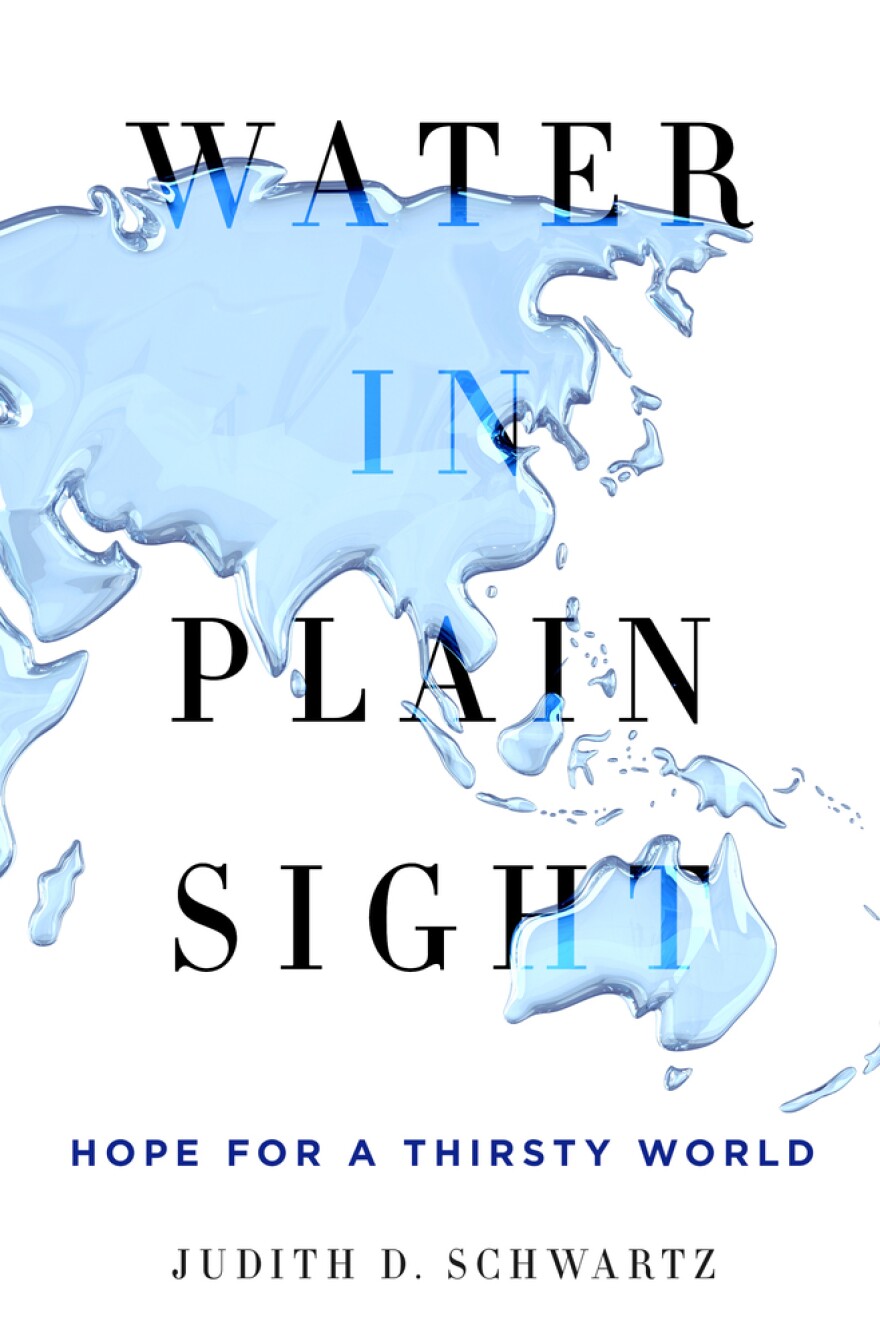 Book Cover - Water in Plain Sight