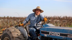 Mas Masumoto grew up on his family farm southeast of Fresno, Calif. His 1987 essay "Epitaph for A Peach," in which he bemoaned the loss of heirloom flavors, captured his changing philosophy as a farmer. It also helped turn his farm into a landmark in the local-food movement.