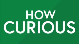 How Curious