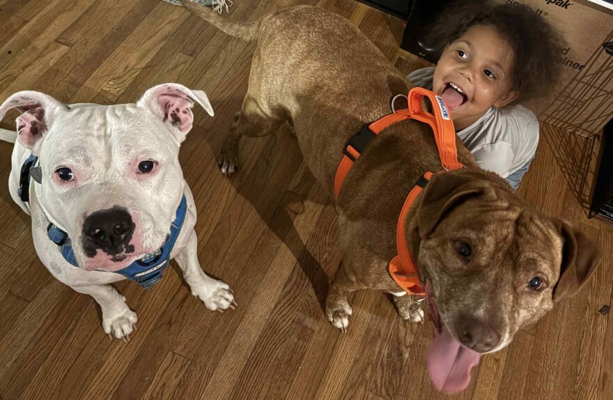 Chunks (left) and Red (right) in their new home