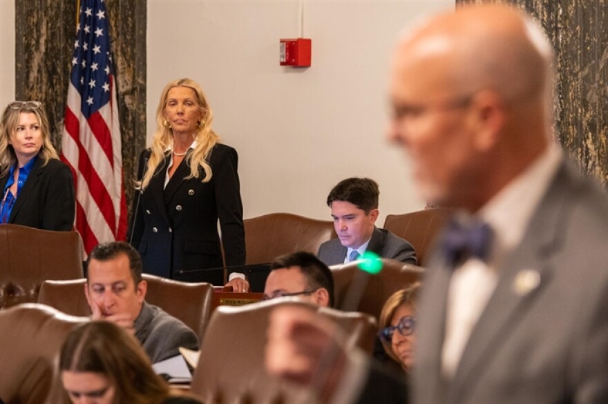 Sen. Sue Rezin, R-Morris, looks at Sen. David Koehler, D-Peoria, as he speaks in support of a bill that would partially lift the state’s 1980s-era moratorium on nuclear construction.