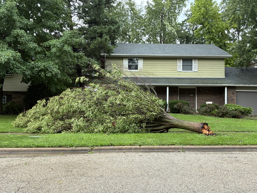Tree damage outside a home on Baugh Drive in Normal on Friday morning.