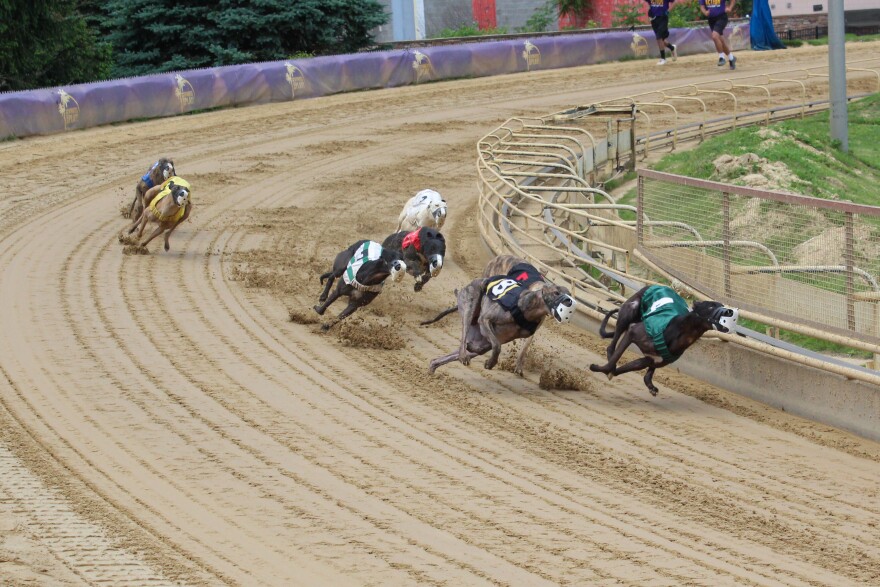 WVPB Greyhounds Wheeling Island 6