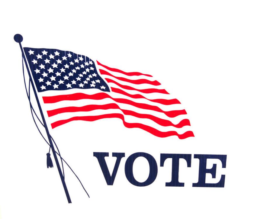 Vote flag. File photo.