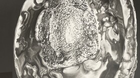 Shell of Poached Abalone, 2020