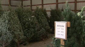 The national shortage stems from the 2007 recession. Christmas tree farms planted fewer trees then because of low demand and those trees are just now maturing.