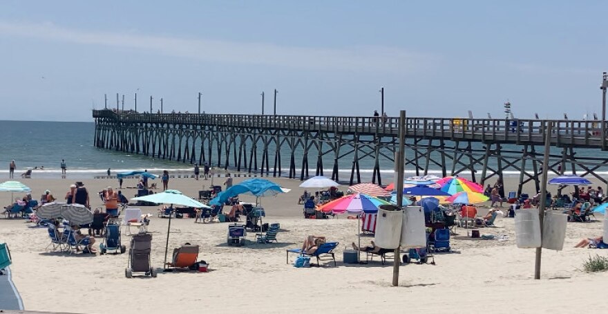 Just ahead of the Memorial Day weekend, the beach was starting to fill with visitors and their Shibumi Shades, sand buckets, and sunscreen. The turtle, though, needed a little less action for a peaceful return to the Atlantic.