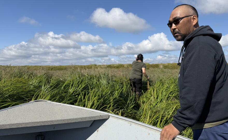 Burt Paul and daughter Caley Paul disembark from their skiff on a grassy slough off the Kugkaktlik River near Kipnuk on Aug. 12, 2026.