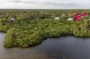 Lemon Bay mangroves in front of Commissioner Cutsinger’s property shown by red arrow.