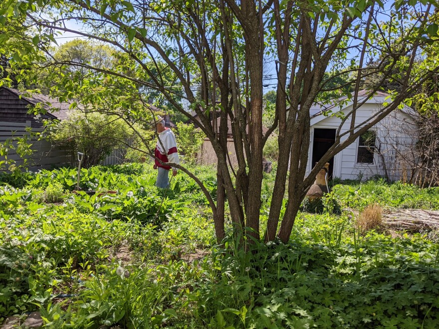 Bill Sell was proud of the native prairie he created in the backyard of his Bay View home.