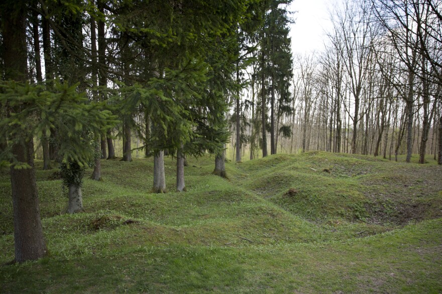 World War I craters near the ruined village of Fleury devant Douaumont, France. More than a century after the fighting, the area is still considered unsafe for habitation.