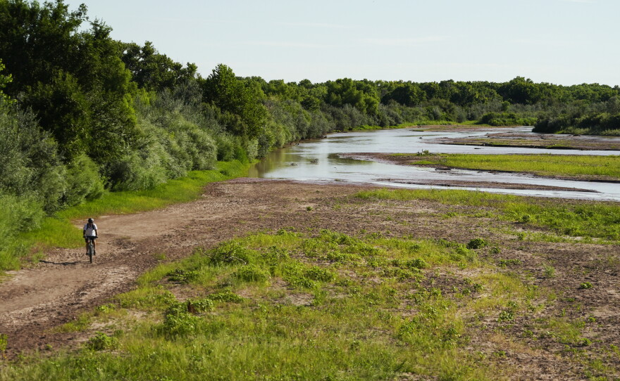 A cyclist bikes through a mostly dry Rio Grande riverbed Wednesday, July 27, 2022, in Albuquerque, N.M. For the first time in four decades, the river went dry and habitat for the endangered silvery minnow — a shimmery, pinky-sized native fish — went with it.(AP Photo/Brittany Peterson)