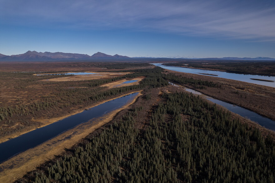 FILE - Onion Portage, a critical migration route for the Western Arctic Caribou Herd along the Kobuk River near Ambler, Alaska, is visible, Sept. 30, 2025.