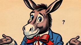 A donkey in traditional red, white, and blue looks puzzled.