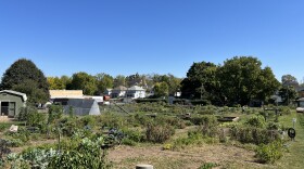 A wide shot view from the top of the hill at Jefferson Street Oasis Community Garden