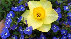 It's spring!