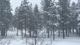 Snow in Flagstaff