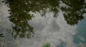 Trees reflect in the Haw River's surface.