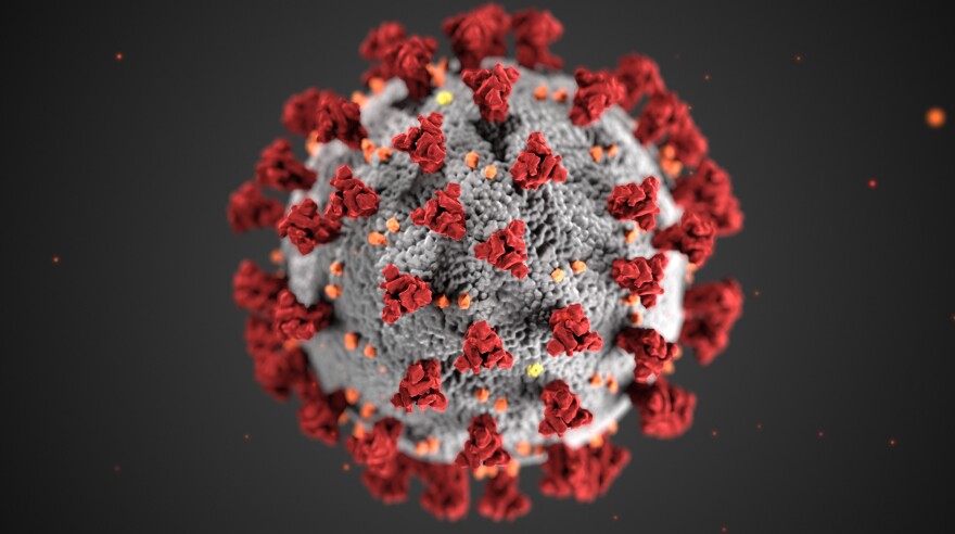 sars-cov-2-blk_covid19-cdc-scaled.jpg