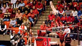 Photo of gymnasts competing