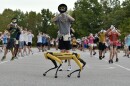Spot, the robot dog, walks in front of Marching Mizzou members during a practice.