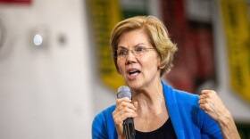 Sen. Elizabeth Warren. (Kerem Yucel/AFP via Getty Images)