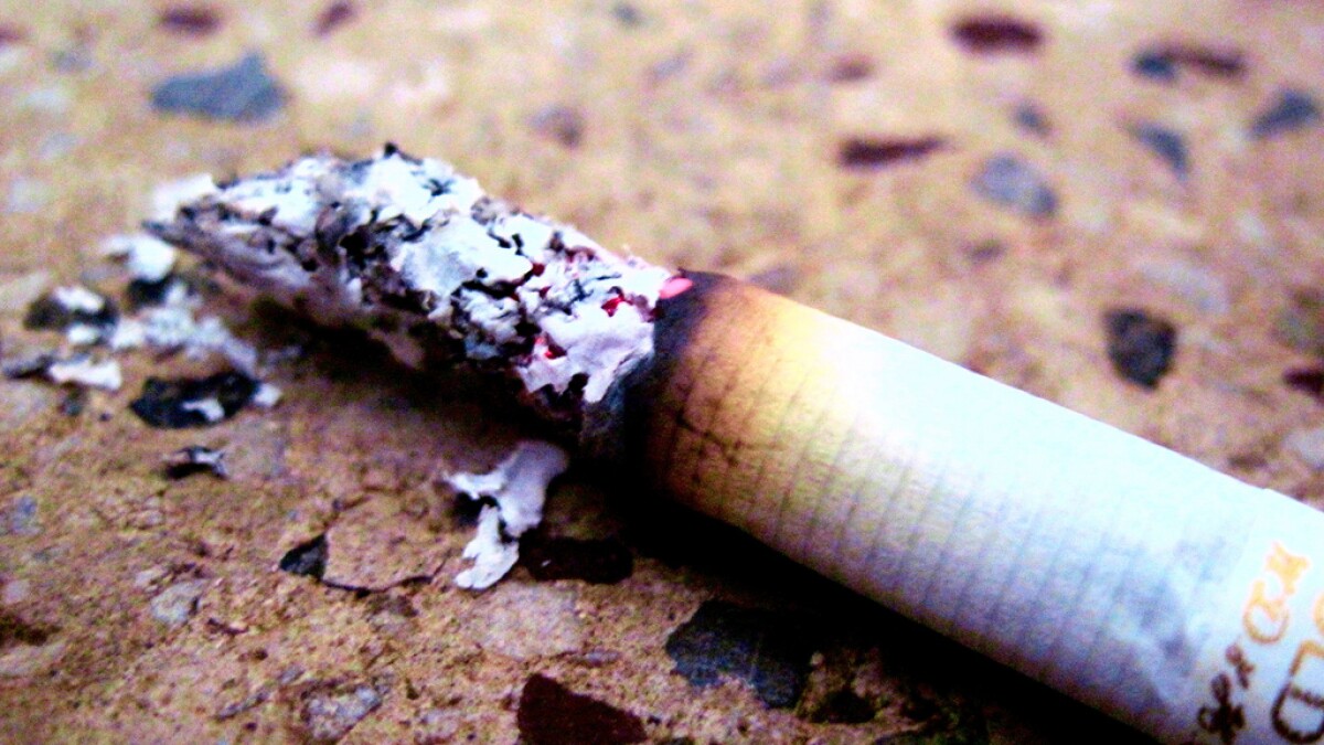 is tobacco a medicinal plant Tobacco Plants and Drug Development