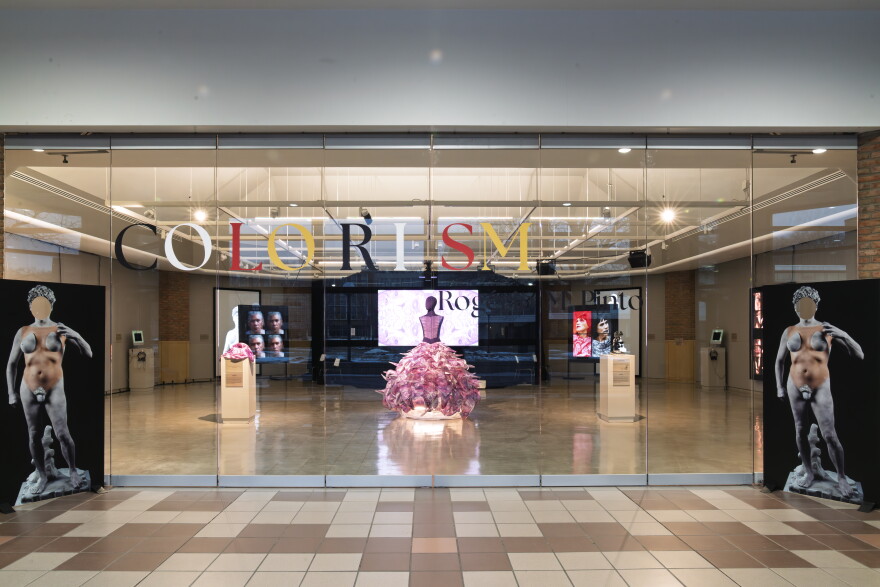 African Colorism 'Colorism' exhibit explores how racial categorizations shape lives ...