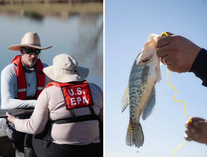 Left: U.S. Environmental Protection Agency scientists, Robert Cook, left, and Chelsea Hidalgo, prepare to set up hoop nets at Fish Trap Lake Park in Dallas. Right: Charles Longoria, a West Dallas resident, holds up a bass caught at Fish Trap Lake Park.