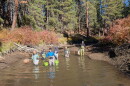 Volunteers participating in the Deschutes River Conservancy's fish rescue