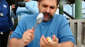 Jonathan Martinescu of Fort Myers, credits an oversized spoon to helping him expertly crack a stone crab claw during Saturday’s 14th annual Stone Crab Eating Contest at Keys Fisheries in Marathon, Fla., Nov. 1, 2025. Martinescu’s “big spoon” strategy helped him win first place with a time of 9 minutes and 46 seconds in the quirky event that kicks off the Florida Keys’ stone crab season.